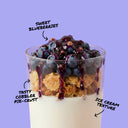 Blueberry Cobbler - Meal Replacement Shake (2lbs)